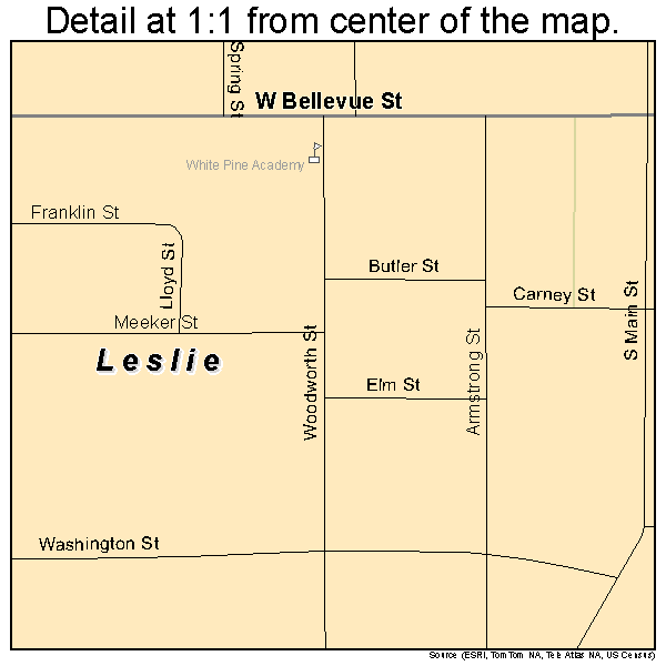 Leslie, Michigan road map detail