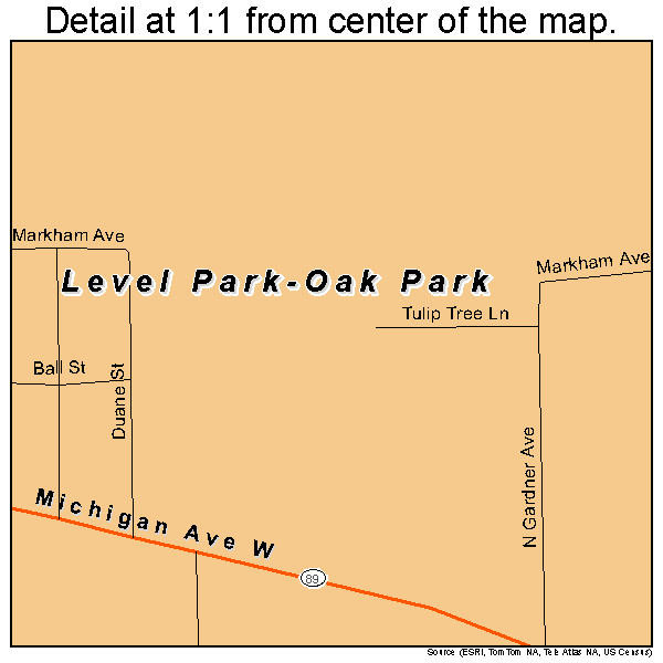 Level Park-Oak Park, Michigan road map detail