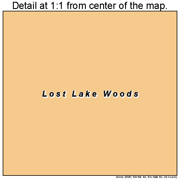 Lost Lake Woods, Michigan road map detail