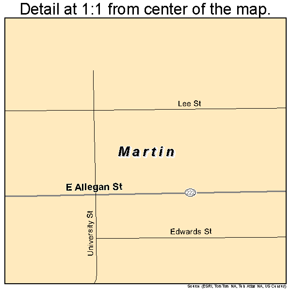 Martin, Michigan road map detail