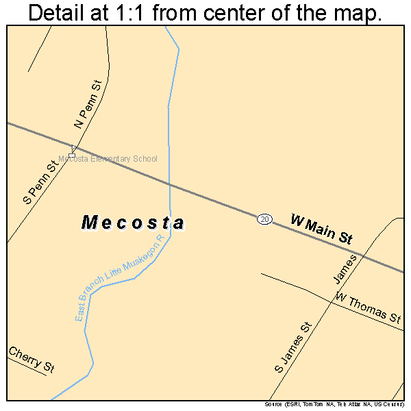 Mecosta, Michigan road map detail