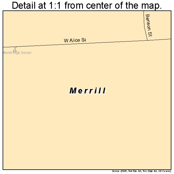 Merrill, Michigan road map detail