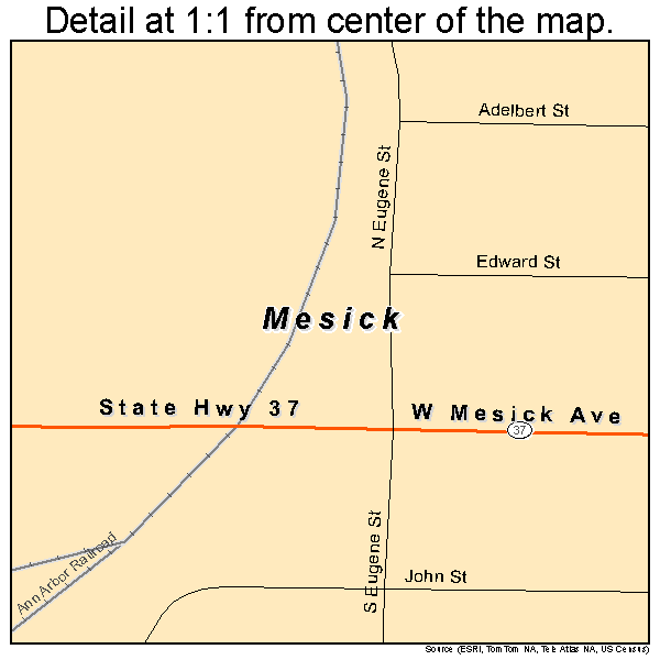 Mesick, Michigan road map detail