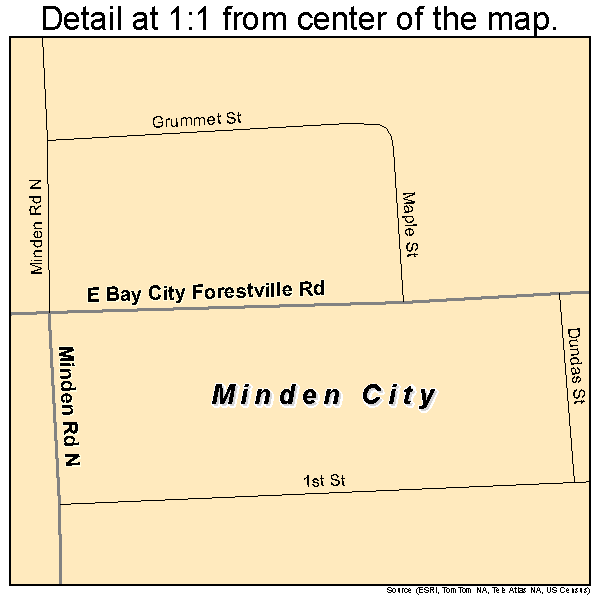 Minden City, Michigan road map detail