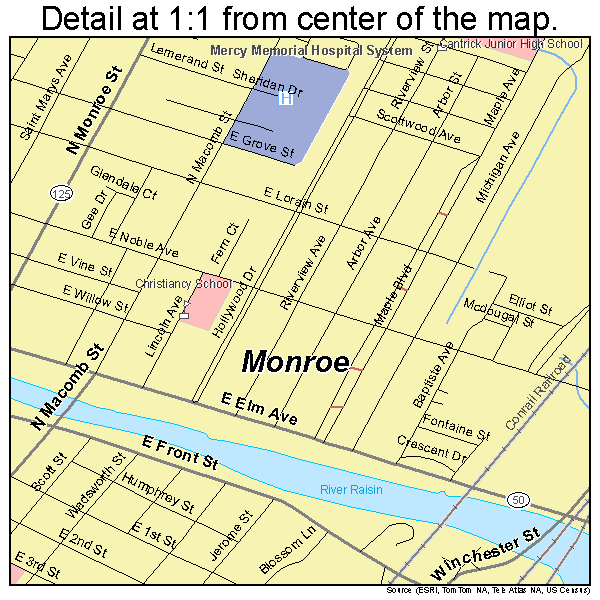 Monroe, Michigan road map detail