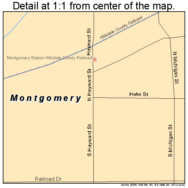 Montgomery, Michigan road map detail