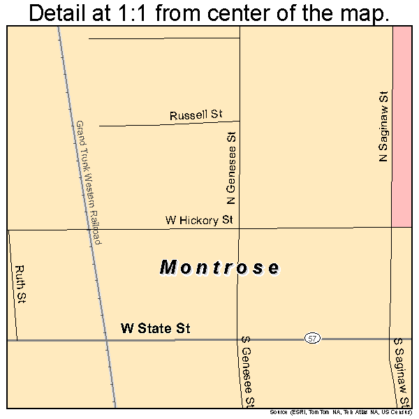 Montrose, Michigan road map detail