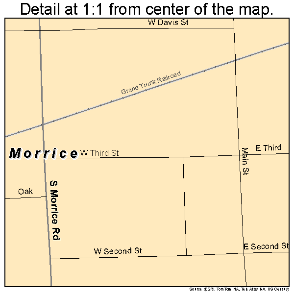 Morrice, Michigan road map detail