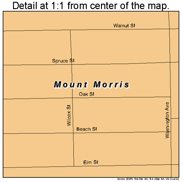 Mount Morris, Michigan road map detail