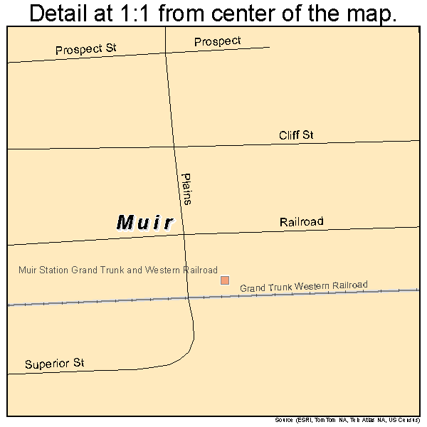 Muir, Michigan road map detail