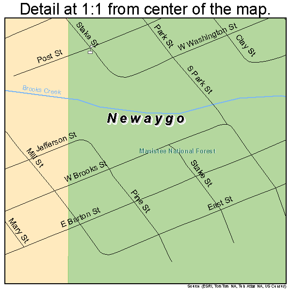 Newaygo, Michigan road map detail