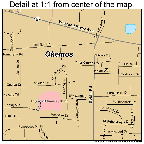 Okemos, Michigan road map detail