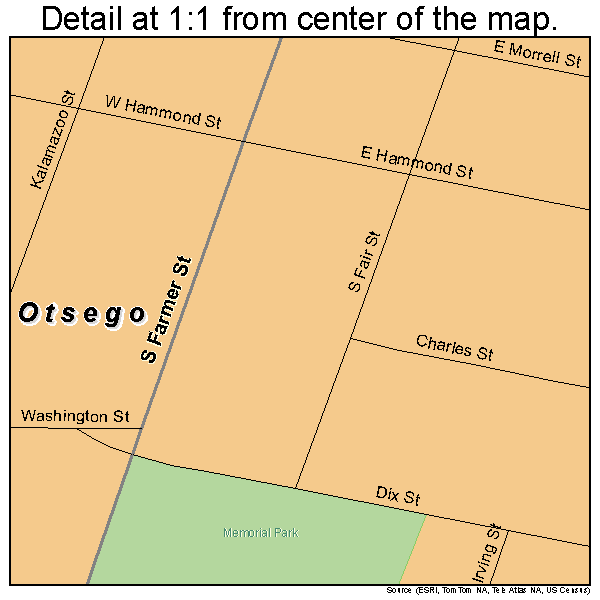 Otsego, Michigan road map detail