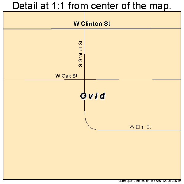 Ovid, Michigan road map detail