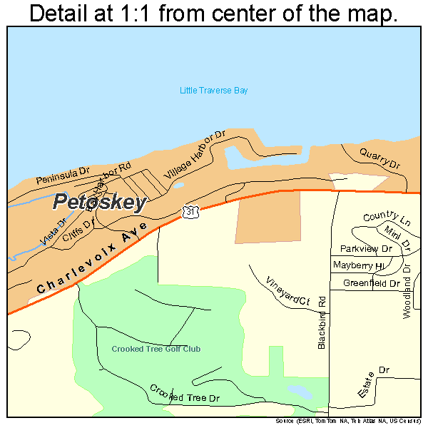 Petoskey, Michigan road map detail