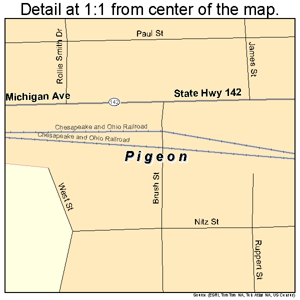 Pigeon, Michigan road map detail