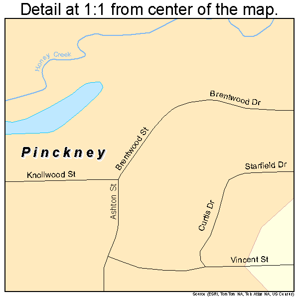 Pinckney, Michigan road map detail