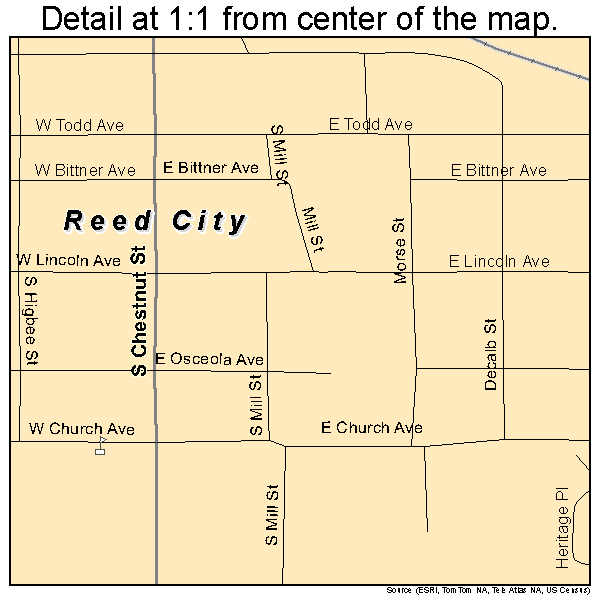 Reed City, Michigan road map detail