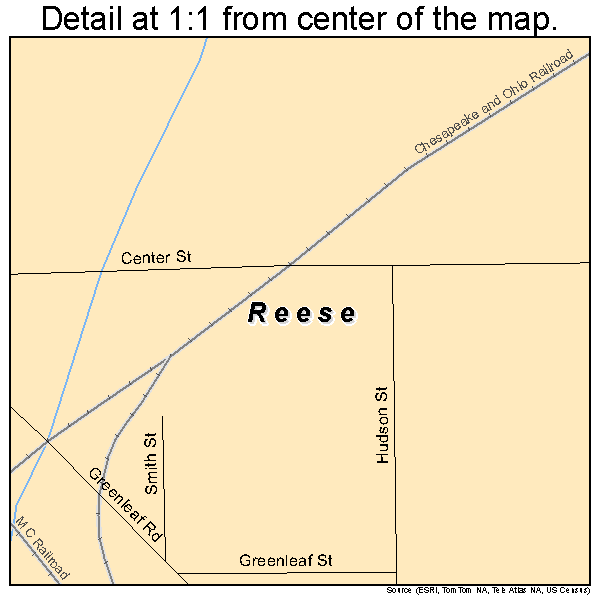 Reese, Michigan road map detail