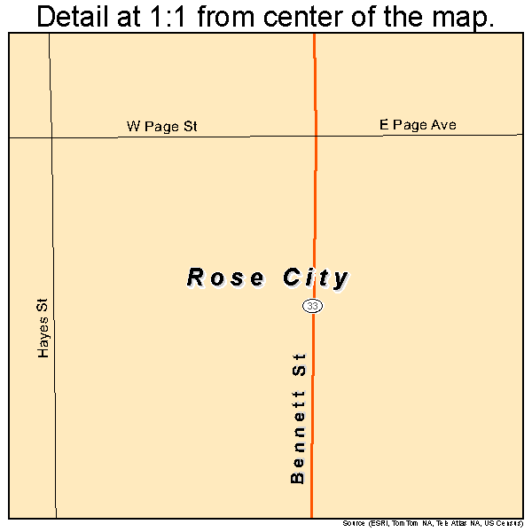 Rose City, Michigan road map detail