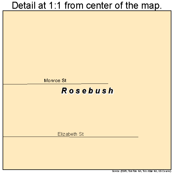 Rosebush, Michigan road map detail