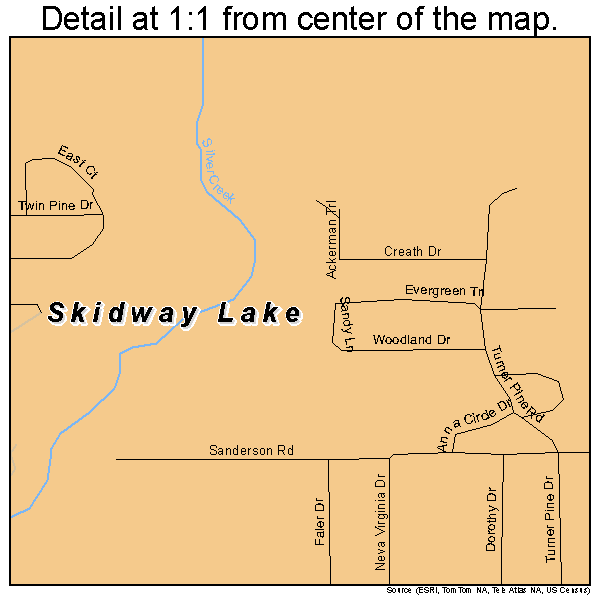 Skidway Lake, Michigan road map detail