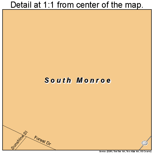 South Monroe, Michigan road map detail