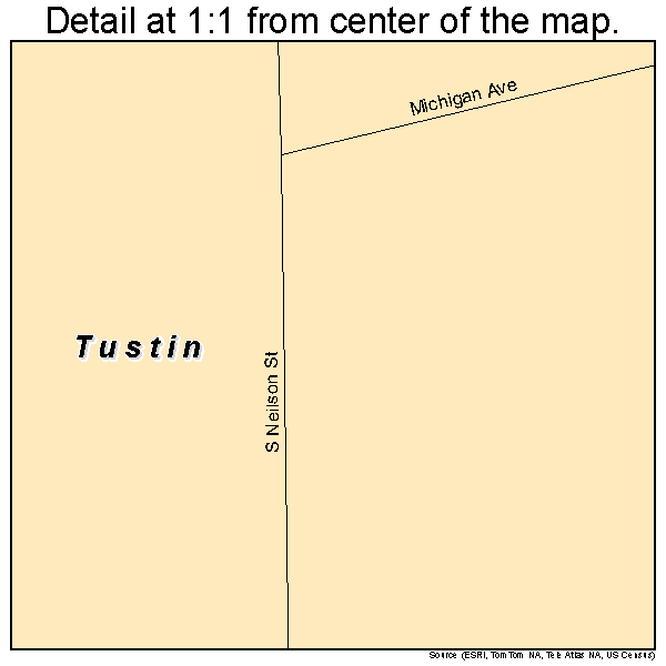 Tustin, Michigan road map detail