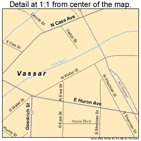 Vassar, Michigan road map detail