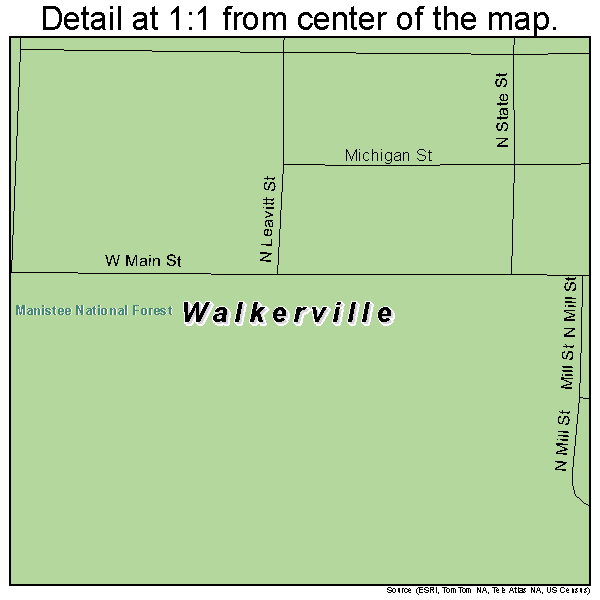 Walkerville, Michigan road map detail