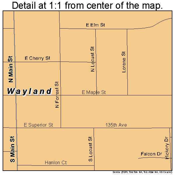 Wayland, Michigan road map detail
