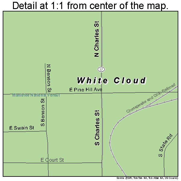 White Cloud, Michigan road map detail