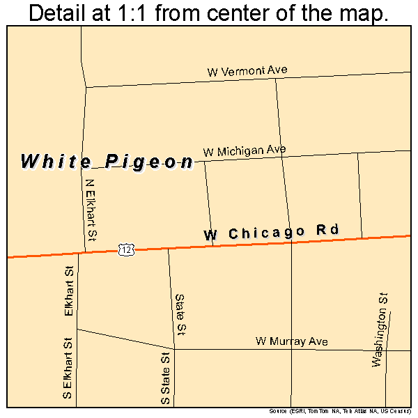 White Pigeon, Michigan road map detail
