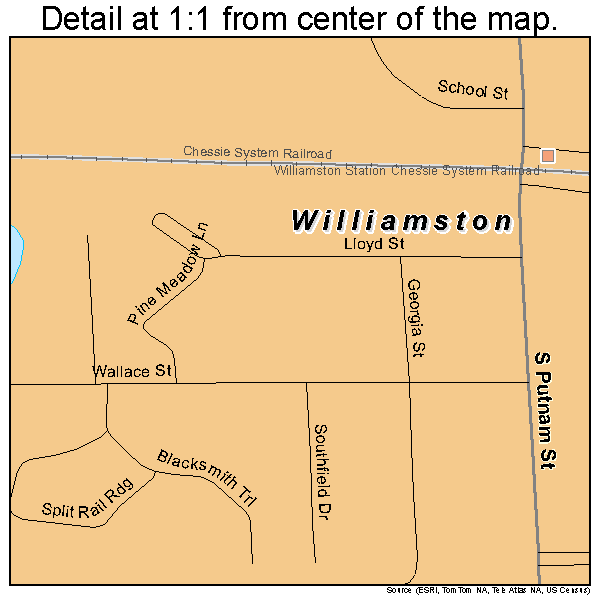 Williamston, Michigan road map detail