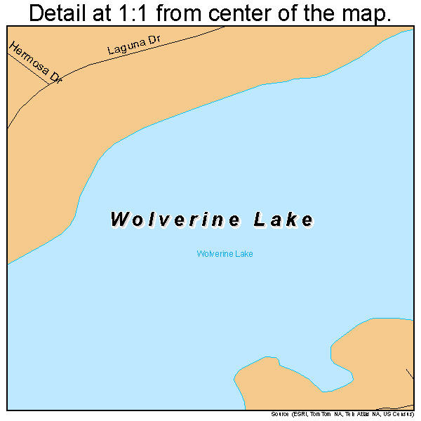 Wolverine Lake, Michigan road map detail