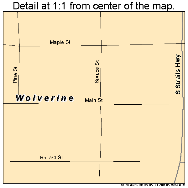 Wolverine, Michigan road map detail