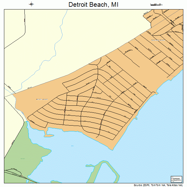 Detroit Beach, MI street map