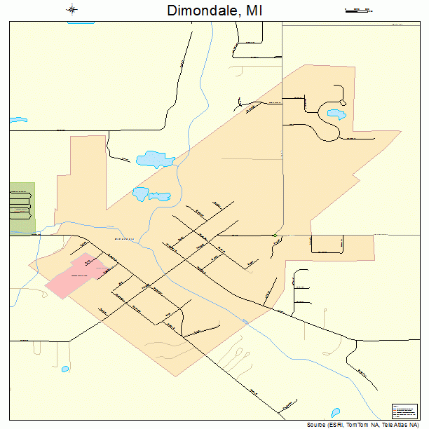 Dimondale, MI street map