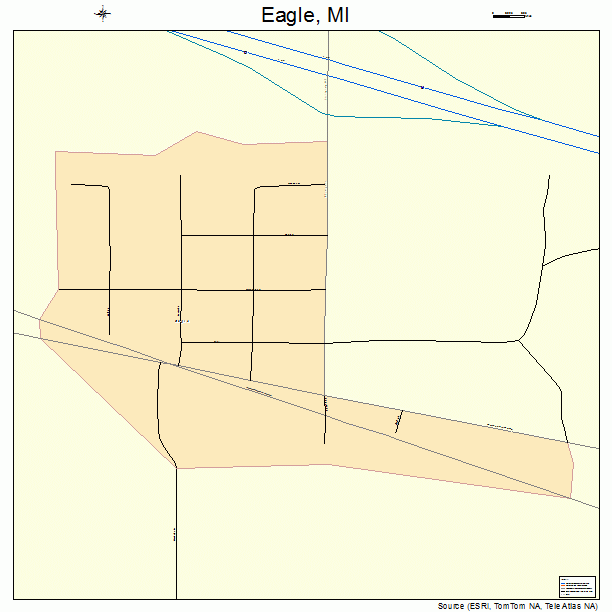 Eagle, MI street map