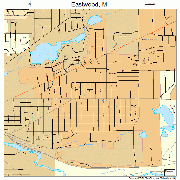 Eastwood, MI street map