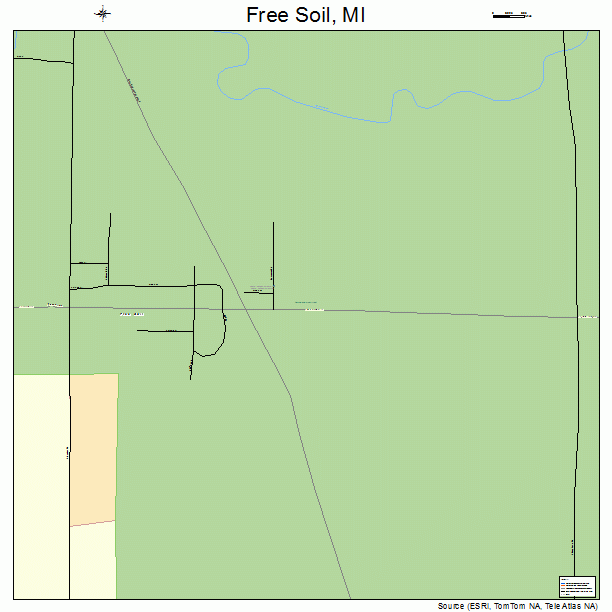 Free Soil, MI street map