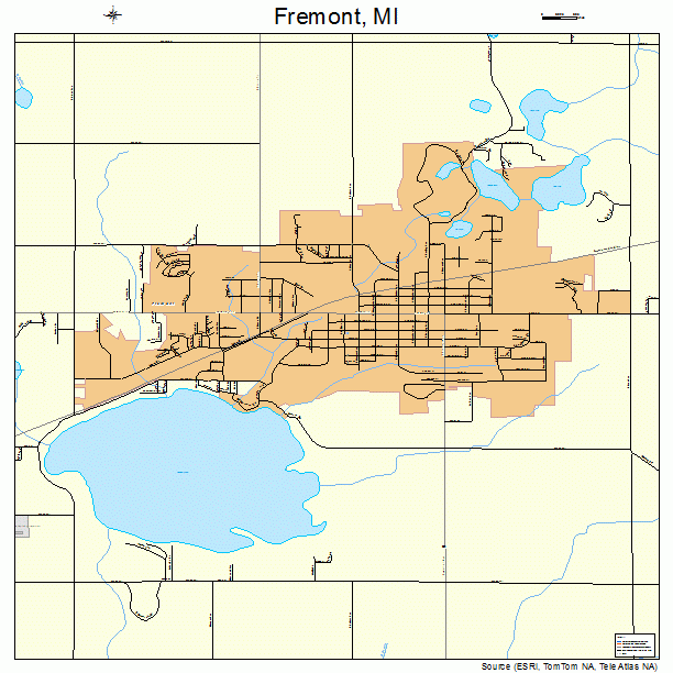 Fremont, MI street map