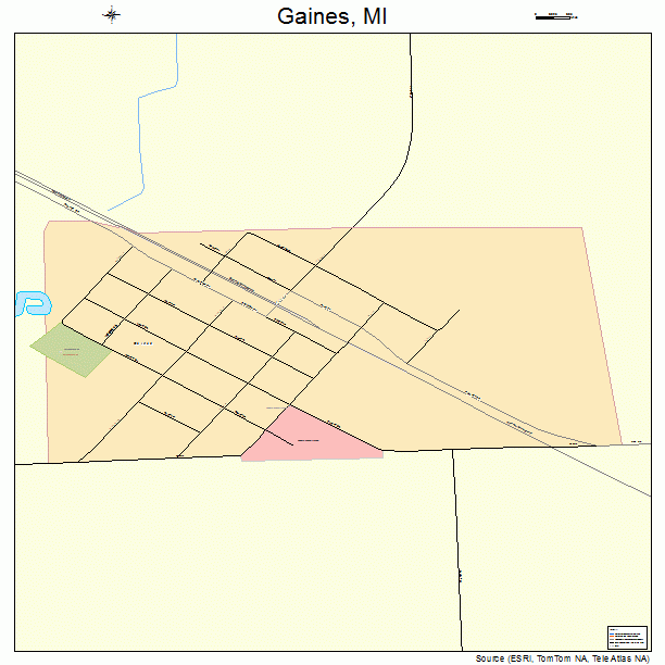 Gaines, MI street map