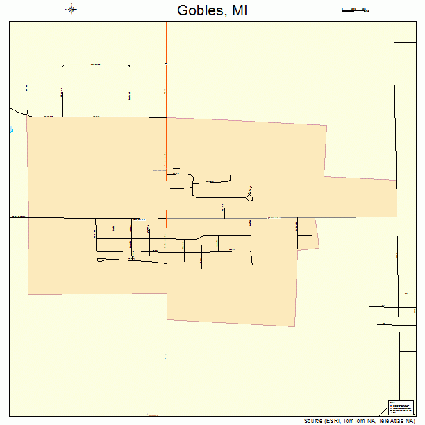 Gobles, MI street map