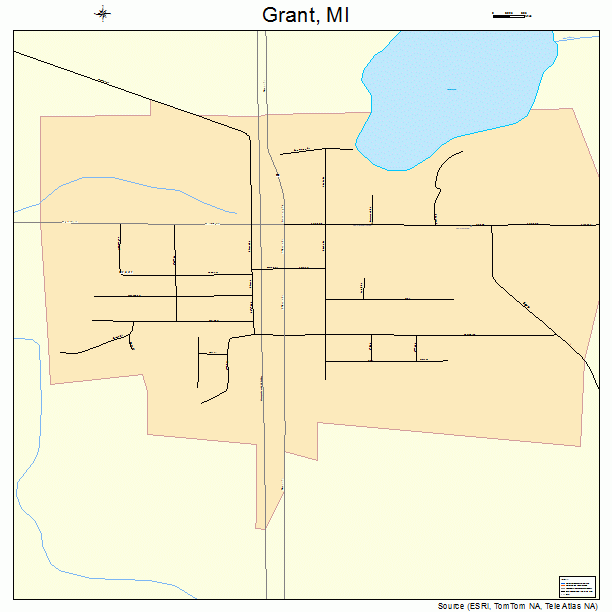 Grant, MI street map
