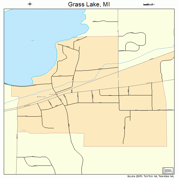 Grass Lake, MI street map