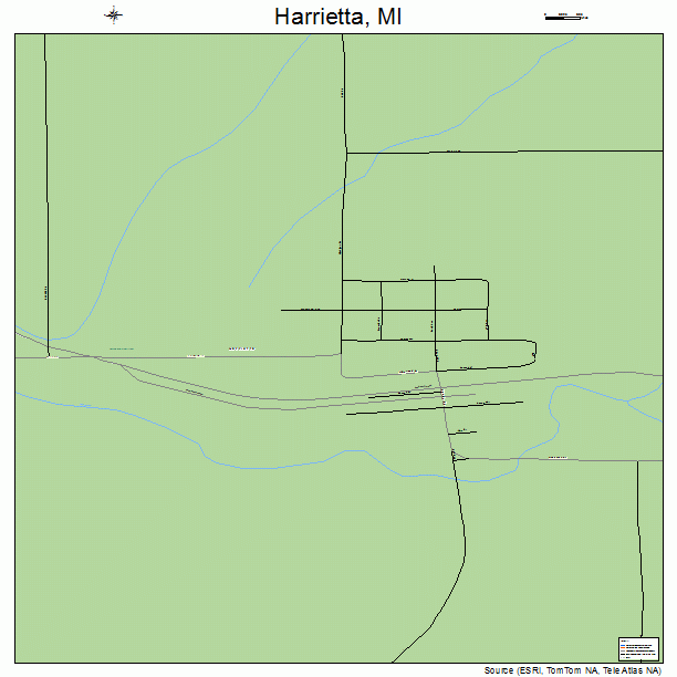 Harrietta, MI street map