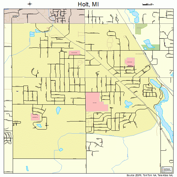 Holt, MI street map
