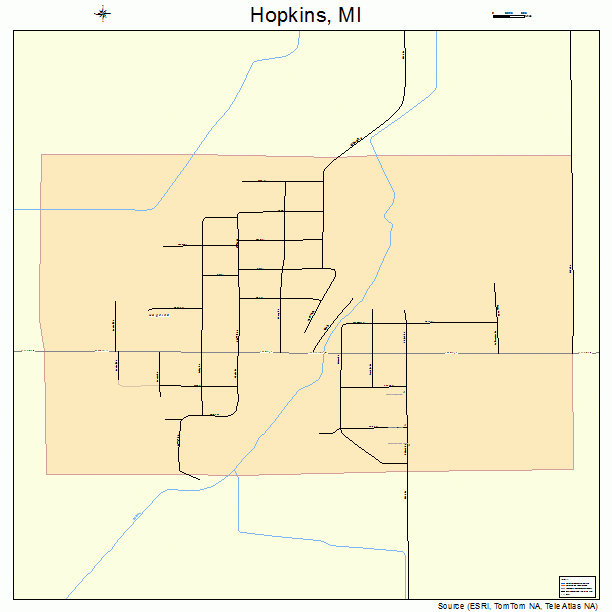 Hopkins, MI street map