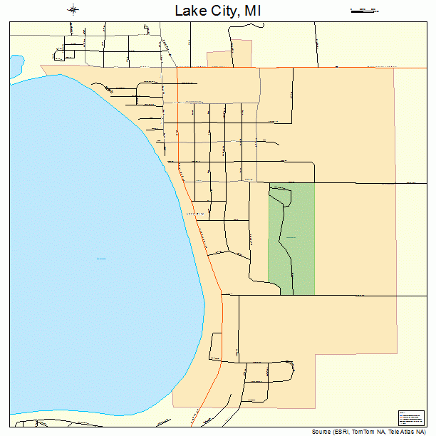 Lake City, MI street map